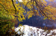 Lac de Bonlieu